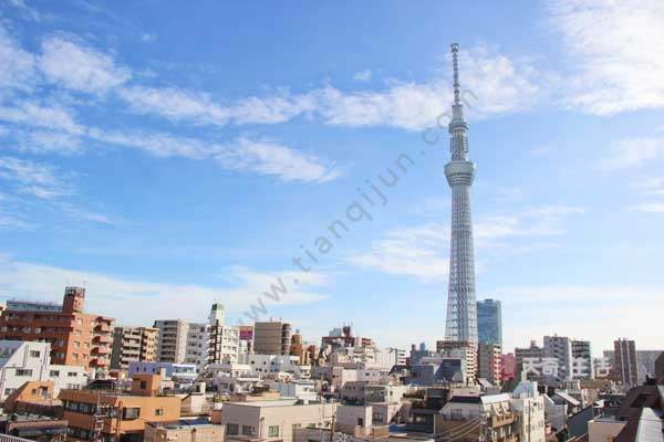 晴空塔和東京塔哪個高