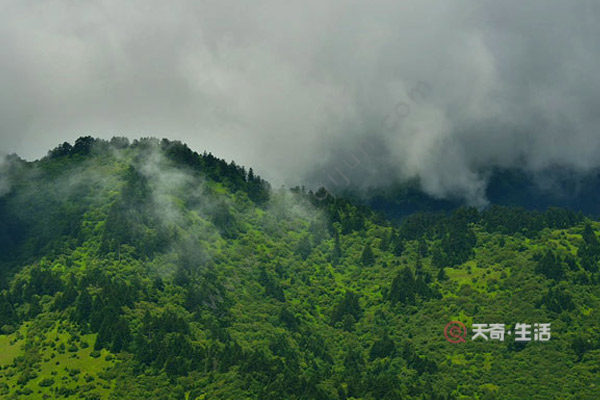 神農(nóng)架都有什么主要景點(diǎn) 神農(nóng)架主要景點(diǎn)有哪些(圖3) 神農(nóng)架都有什么主要景點(diǎn)