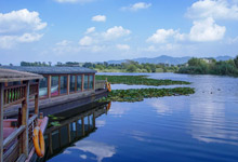 普者黑荷花是什么季節(jié)開(kāi)的 普者黑荷花是哪個(gè)季節(jié)開(kāi)的