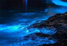 福建除了廈門(mén)還有哪里旅行 福建除了廈門(mén)可以旅行的地方